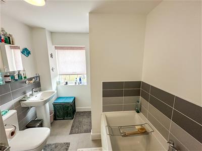 Picture 24